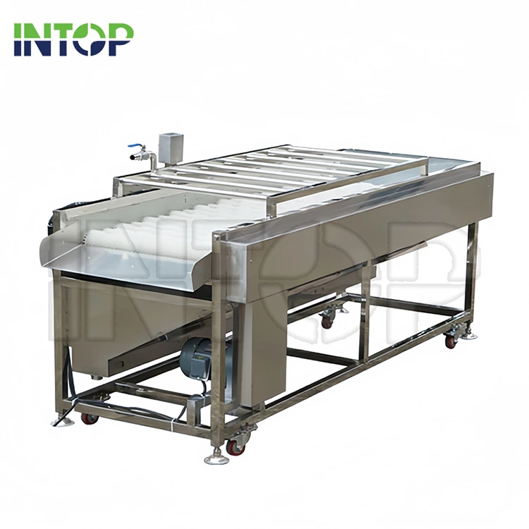Máquina de lavar rolo de escova de frutas e vegetais Máquina de lavar rolo de escova de frutas e vegetais