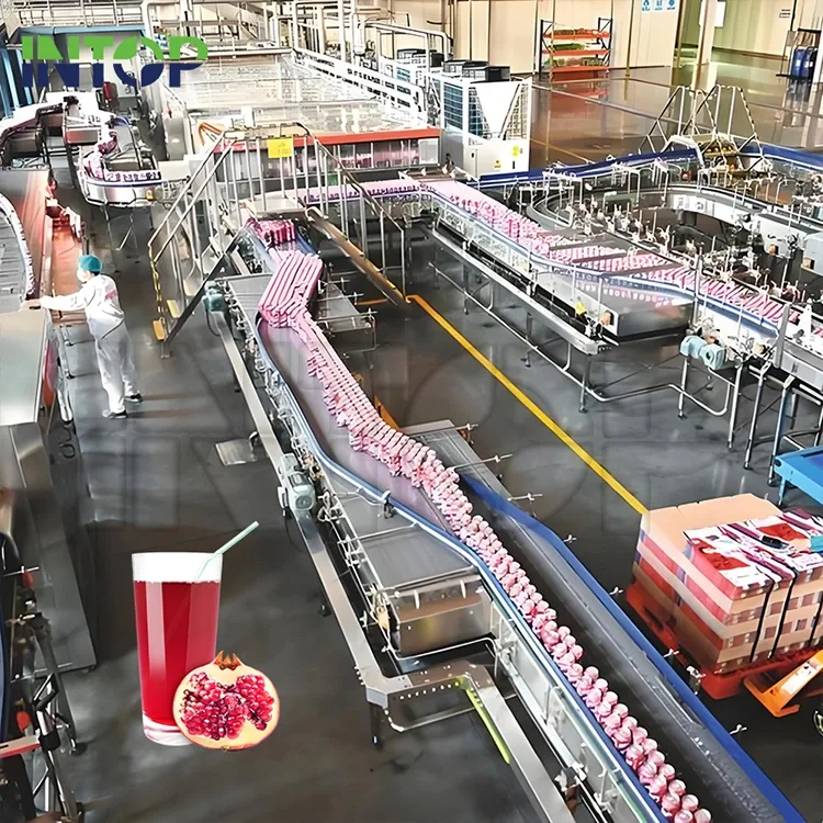 Linha de produção de suco de romã