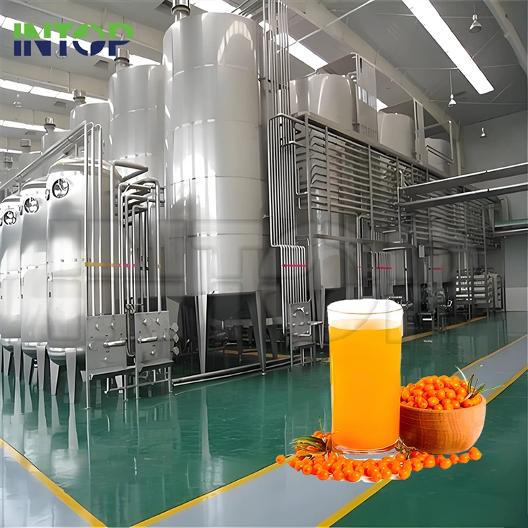 Linha de produção de suco de espinheiro marítimo